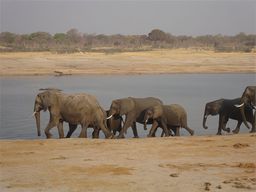 Hwange National Park