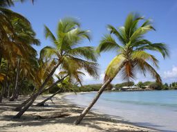 Les Salines