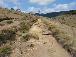 Parc national de Horton Plains
