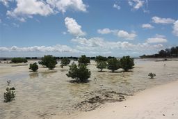 Îles Quirimbas