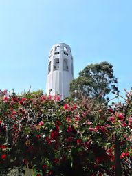 Coit Tower