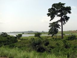 Lac du Buyo