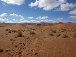 Sossusvlei