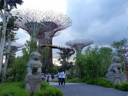 Gardens by the Bay