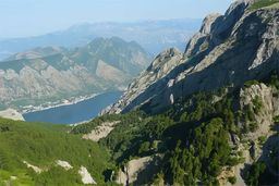 Kotor