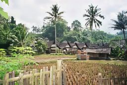 Java
