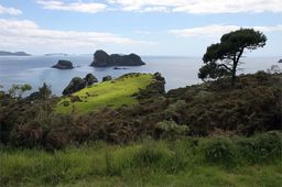 Péninsule de Coromandel