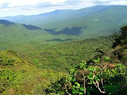 Réserve de Monteverde