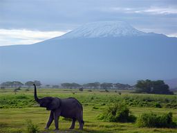 Parc national d'Amboseli
