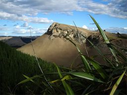 Hawkes Bay