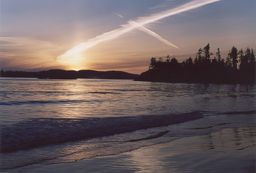 Tofino