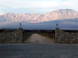 Cafayate