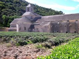 Abbaye de Sénanque
