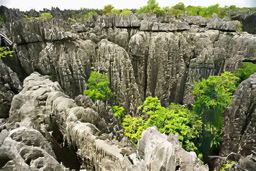 Parc national des Tsingy de Bemaraha