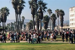 Venice Beach