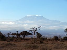 Mont Kilimandjaro