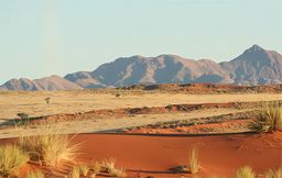 Désert du Namib