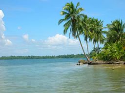 Archipel de Bocas del Toro