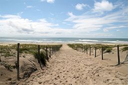 Cap Ferret