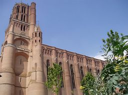 Albi