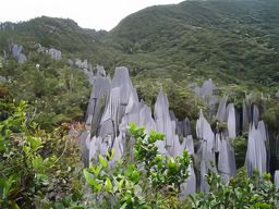 Gunung Mulu National Park
