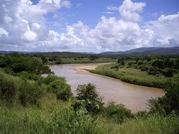 Réserve de Hluhluwe-Umfolozi