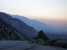 Lone Pine