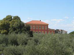 Musée Matisse