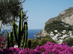 Isola di Capri
