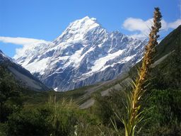Mount Cook National Park