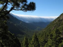 La Palma