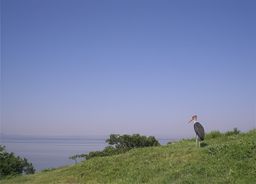 Vallée du Rift