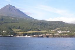 Pico