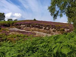 Llangollen