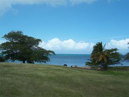 Île de Vieques