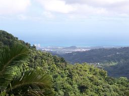 El Yunque