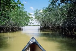 Les Everglades