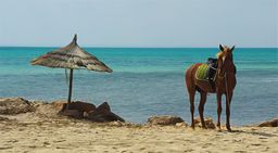 Djerba (Jerba)