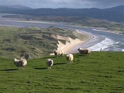 Malin Head
