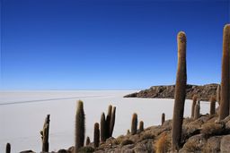 Salar d'Uyuni