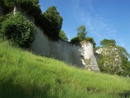 Chinon