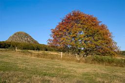 Mont Gerbier-de-Jonc