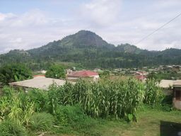 Yaoundé