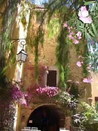 Bormes-les-Mimosas