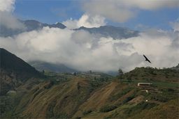 Andes