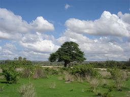Parc national de Ruaha