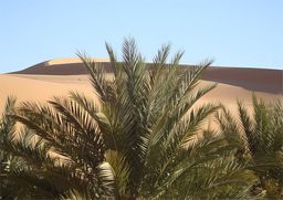 Timimoun