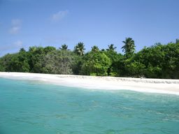 Bird Island