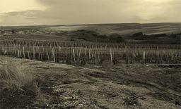 Chablis