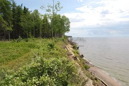 Lac Saint-Jean